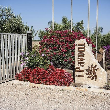蒙塔尔托迪卡斯特罗Agrimare I Pavoni公寓 外观 照片