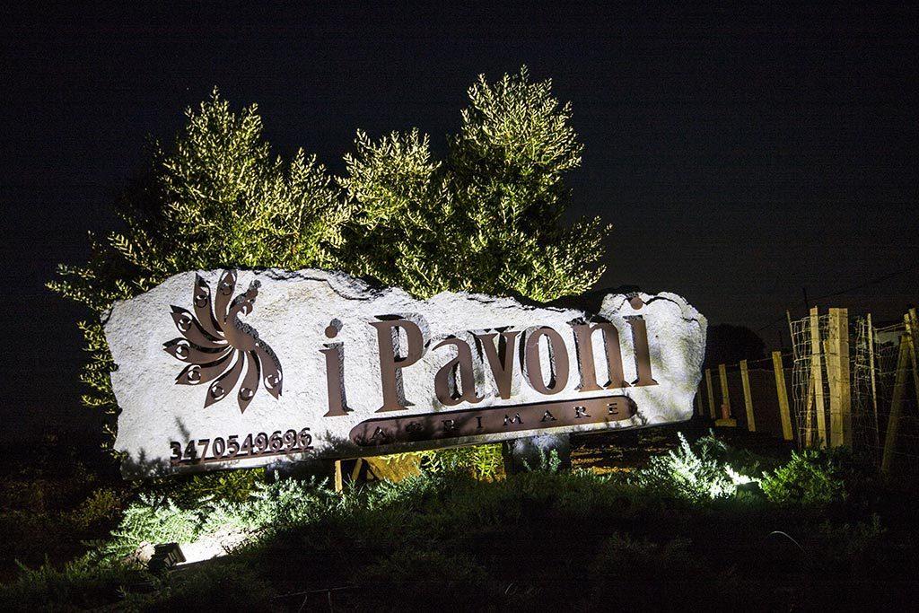 蒙塔尔托迪卡斯特罗Agrimare I Pavoni公寓 外观 照片